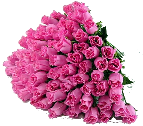 Son Hediyye